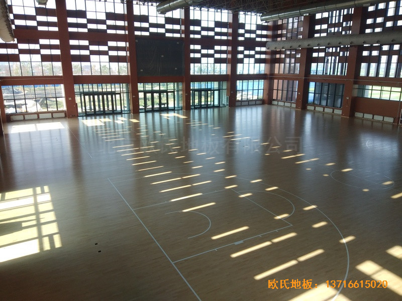 �ӱ����̴�W��У�^(q��)�@���^�w��ľ�ذ尲�b����5