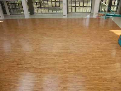 ����w���\��ľ�ذ�İl(f��)չʷ-������ͬ�l(f��)չ�A��