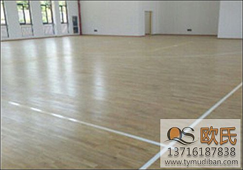 �w���\�ӌ�ľ�ذ�ĸ����Y����