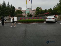 ���Ռ������_(t��i)�\(y��n)��(d��ng)ľ�ذ���Щ���Ӻ�