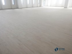 �@��ľ�ذ�Y(ji��)��(g��u)����