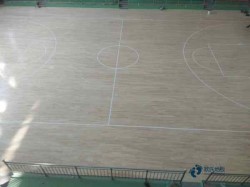 ��Ʒ�|(zh��)�w���\��ľ�ذ���ô���B(y��ng)