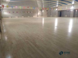 籃球木地板價格是多少