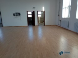 籃球場(chǎng)木地板價(jià)格多少錢(qián)