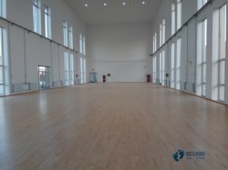 專(zhuān)業(yè)籃球場(chǎng)館木地板施工團(tuán)隊(duì)